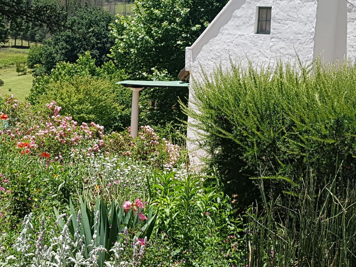 Rosebury Cottage Underberg Bagian luar foto
